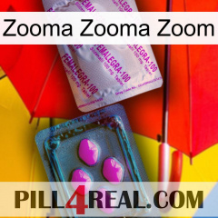 Zooma Zooma Zoom 37